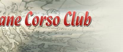 Cane Corso Club - ������������ ���� ������ ���� �����
